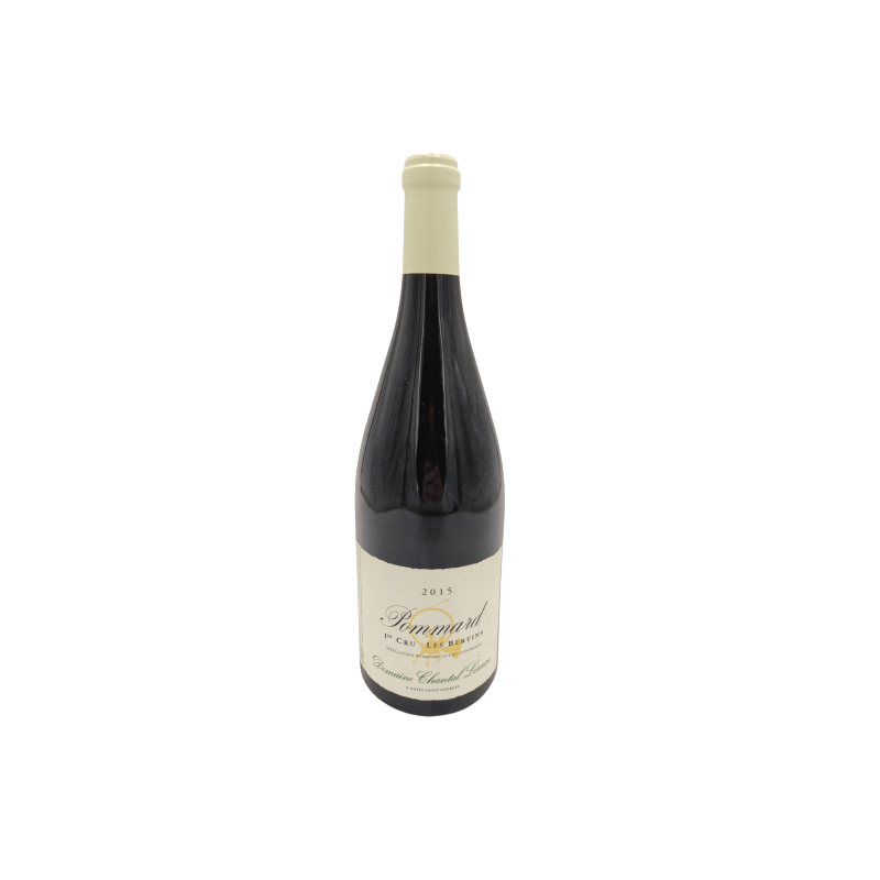 Chantal Lescure Pommard les Bertins 2015 Magnum French Red Wine - Enjoy Wine