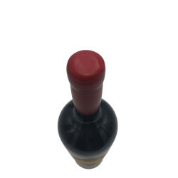 Venta online viñedo chadwick 2020 magnum