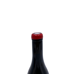 vin rouge du beaujolais desvignes aux pierres javernieres 2020