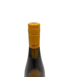 vin blanc de France albert mann riesling 2019