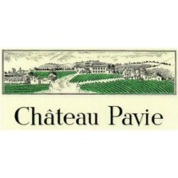 red wine chateau pavie 2021