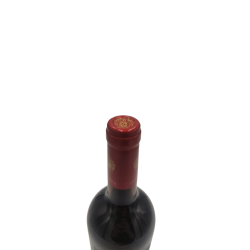 vin rouge viñedo chadwick 2020