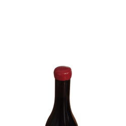 Red wine coessens coteaux champenois rouge egrappée 2019