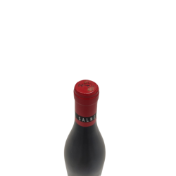 red wine goliardo tinto 2020