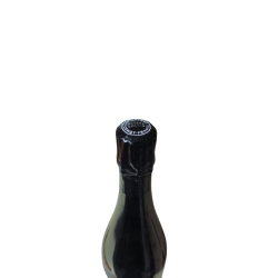 Sparkling wine ulysse collin les maillons blanc de noirs 2018 (degorgement 16/02/2022)