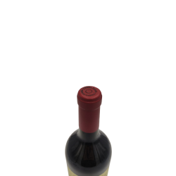 Red wine catena zapata adrianna mundus bacillus terrae 2019
