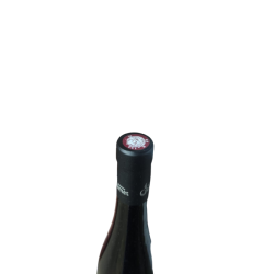 vin rouge jamet condrieu vernillon 2020