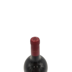 Red wine costers del siurana usatges 2006 magnum