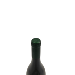 white wine vinyes del terrer blanc 2020