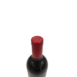 vin rouge penfolds bin 169 cabernet sauvignon 2019