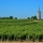 Discovering the Treasures of Pomerol, a Gem of the Bordeaux Vineyard