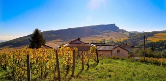 Domaine Guffens, world-class wines