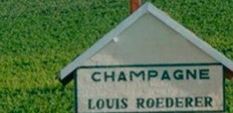 Louis Roederer: An Emblematic Champagne