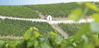 Domaine Chantal Lescure : new owners 