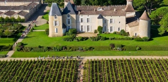 Le Château d'Yquem et son Délicieux Vin
